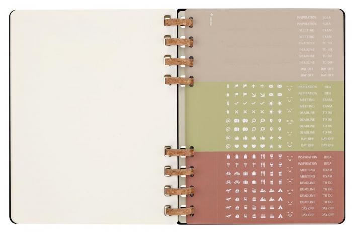 Spiral Planner 2025 XL Almond