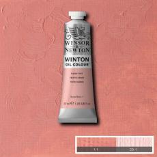 Oljefärg W&N Winton 37ml Flesh tint 257