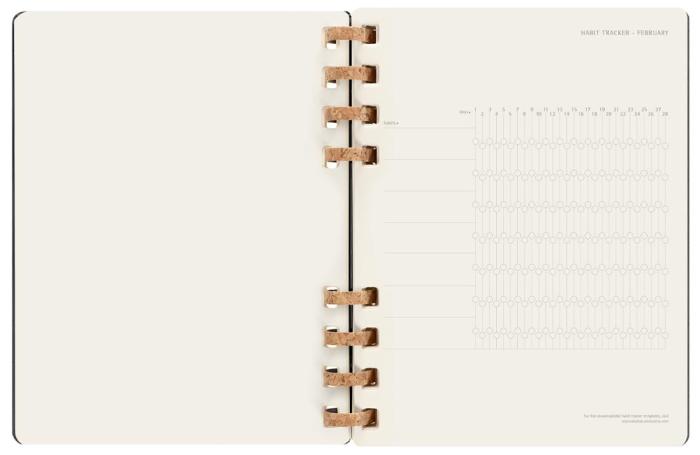 Spiral Planner 2023 XL Black