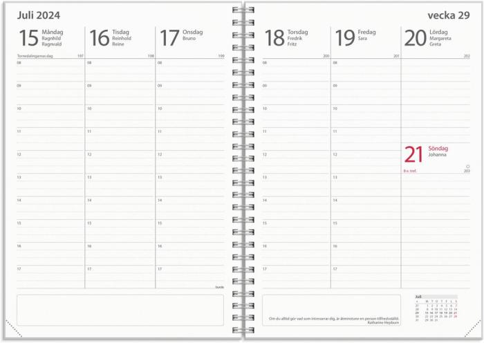 Kalender Velvet Study 2024-2025