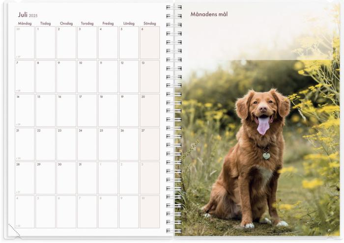 Kalender 2025 Hundkalendern