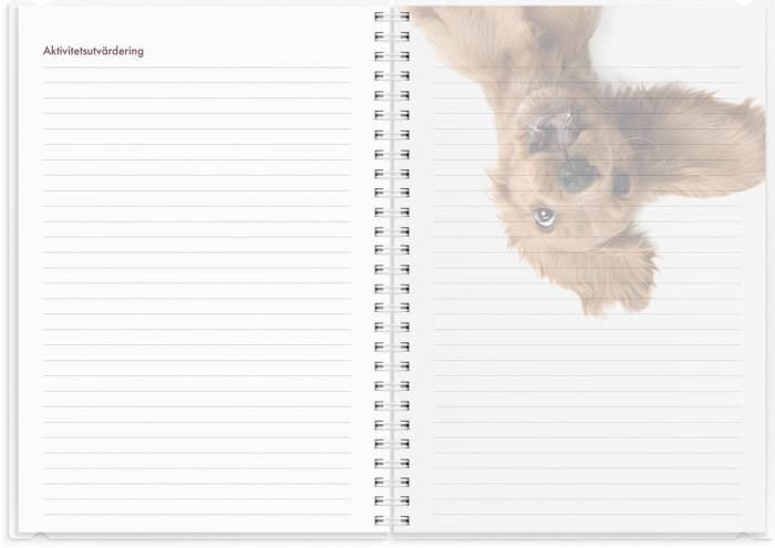 Kalender 2025 Hundkalendern