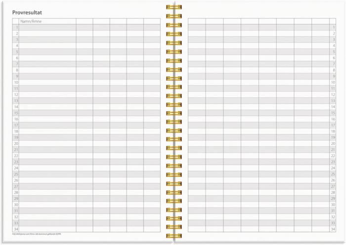 Kalender Study A5 Star 2024-2025