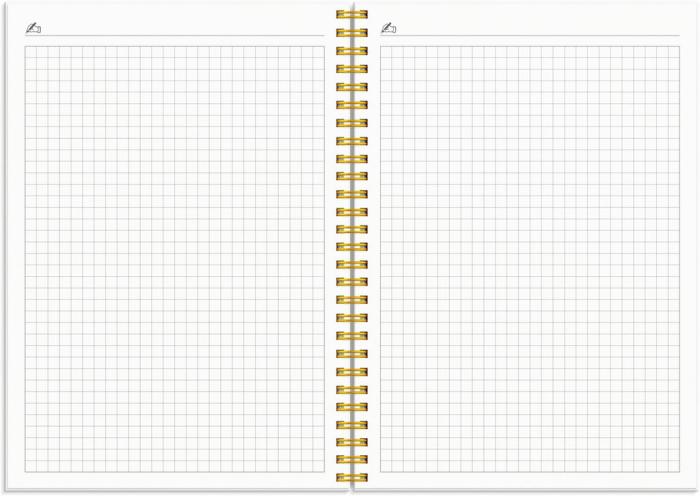 Kalender Study A5 Star 2024-2025