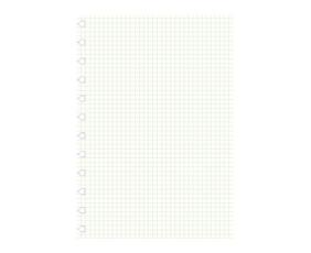 Extrablad rutat till Filofax A4 Notebook