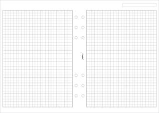 Filofax A5 rutade blad