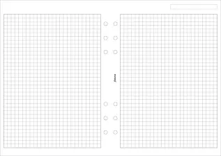 Filofax A5 rutade blad