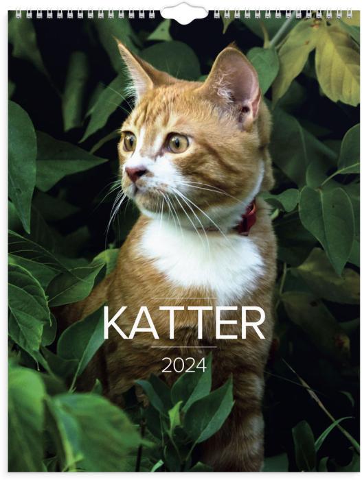 Stora Kattkalendern 2024