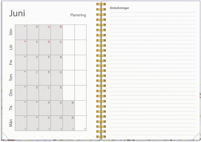 Kalender Study A5 Story Äng 2025-2026