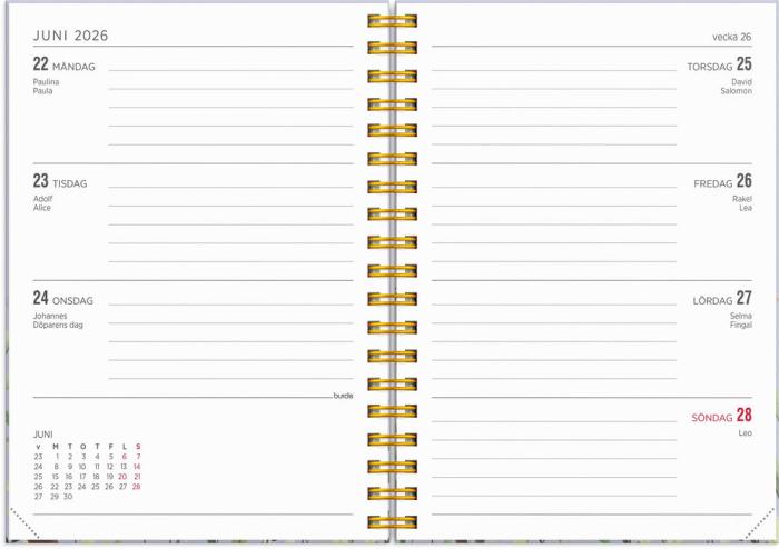 Kalender Senator A6 Story Äng 2025-2026