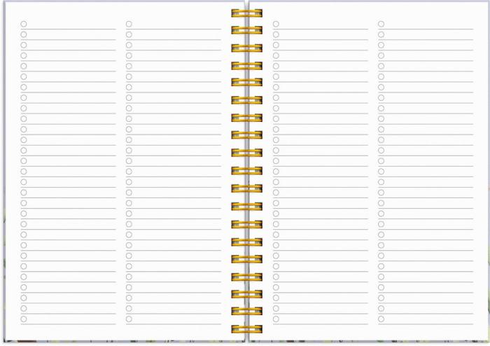 Kalender Senator A6 Story Äng 2025-2026