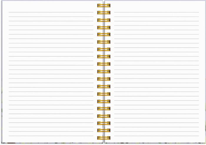 Kalender Senator A6 Story Äng 2025-2026