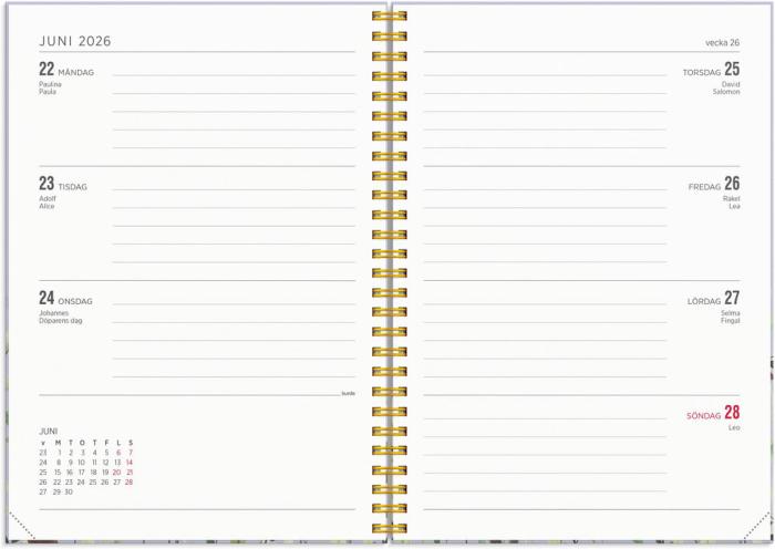 Kalender Senator A5 Story Äng 2025-2026