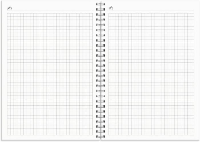 Kalender Study A5 Star 2024-2026