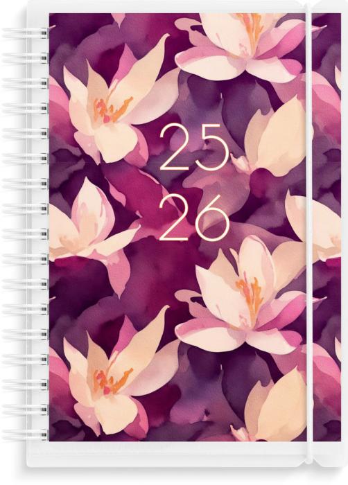 Kalender Study A6 4i1 2025-2026