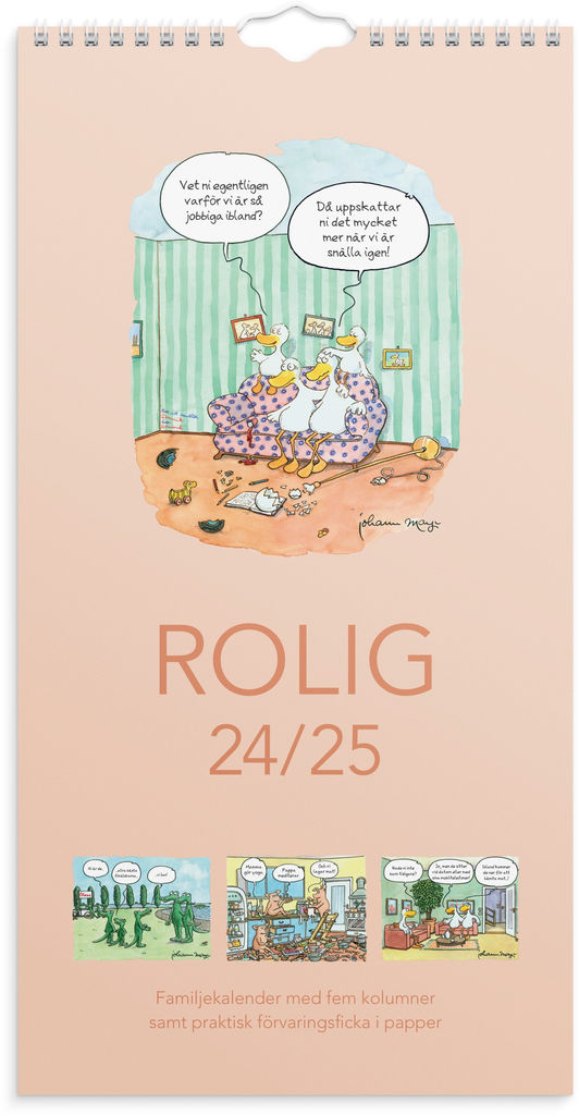 Väggkalender Familjens roliga 20242025